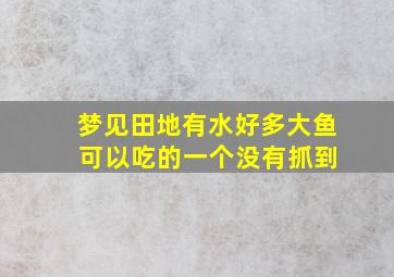 梦见田地有水好多大鱼 可以吃的一个没有抓到